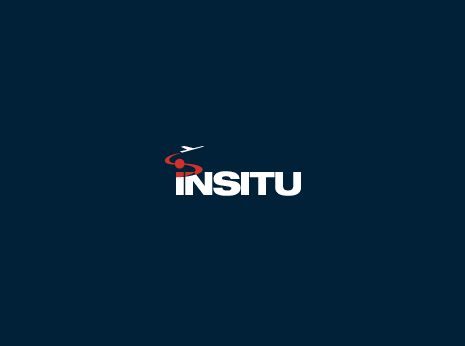 Insitu Logo